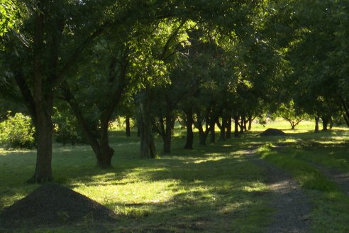 Visita a Granja La Suiza - Villaguay - Entre Ríos