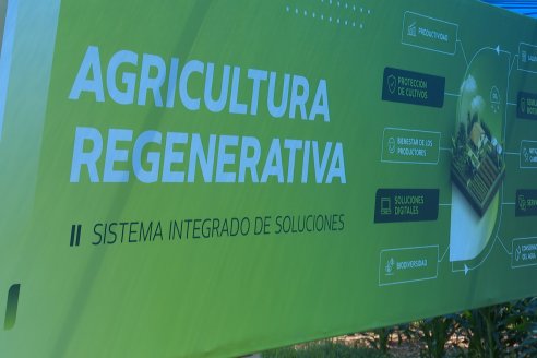 Postales de Expoagro 2025 - Parte 1 -