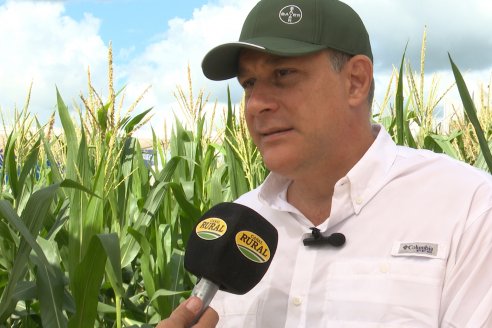 Postales de Expoagro 2025 - Parte 1 -