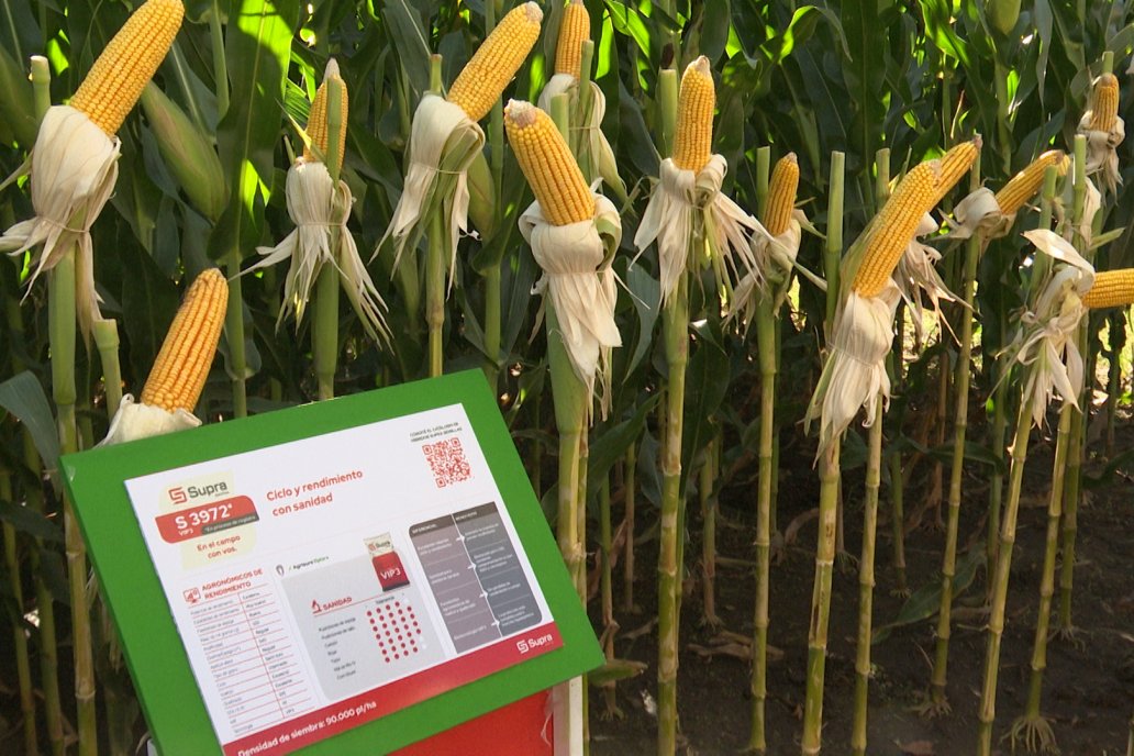 Postales de Expoagro 2025 - Parte 1 -