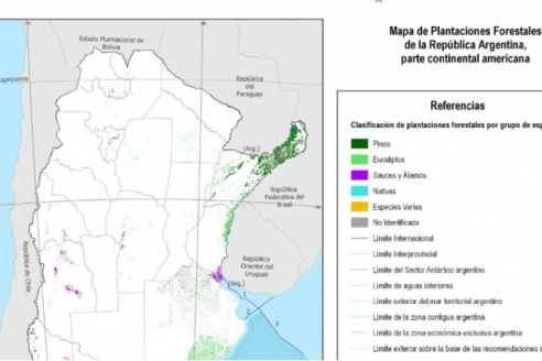 La Argentina ya tiene su mapa forestal con certificación de calidad