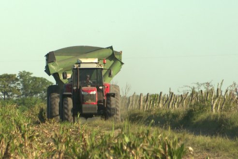 Cosecha de Sorgo en Estación Sosa : Mauro y Marcos Brondi