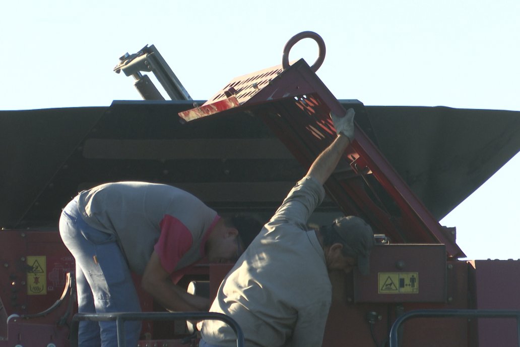 Cosecha de Sorgo en Estación Sosa : Mauro y Marcos Brondi