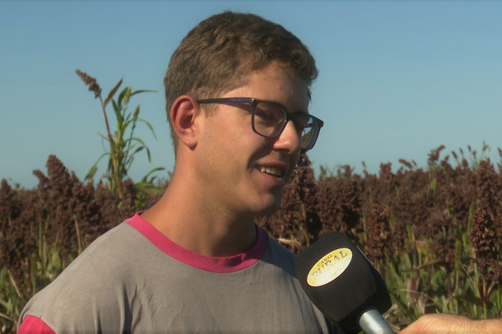 Cosecha de Sorgo en Estación Sosa : Mauro y Marcos Brondi