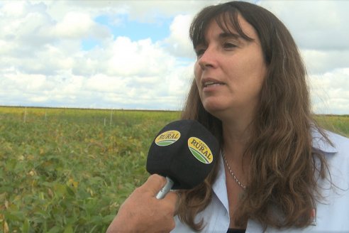 Carolina Sasal propone avanzar hacia diagnósticos integrales para cuidar y recuperar la salud del suelo