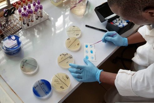 Agilizan la carga de actas de toma de muestras para diagnósticos de sanidad animal
