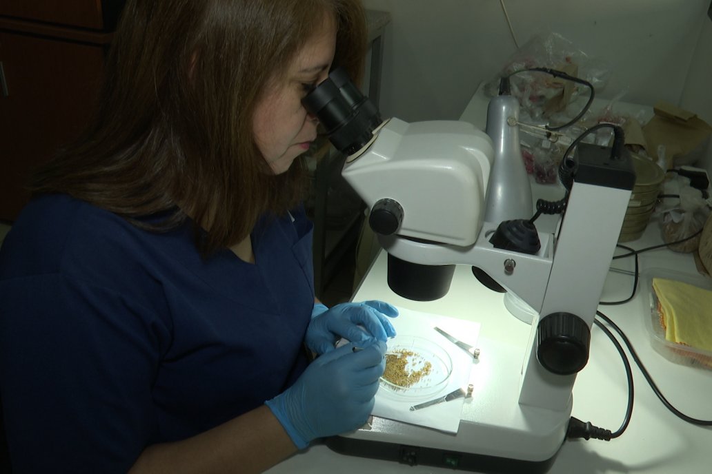 Laboratorio Cámara Arbitral de Cereales de Entre Ríos