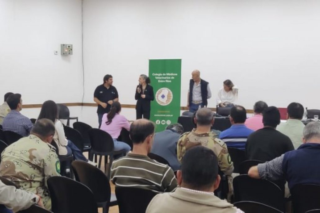También hablaro sobre el software con que se trabaja para cargar los microchips. También hablaro sobre el software con que se trabaja para cargar los microchips.