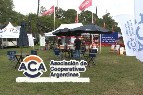 Postales TODO LACTEA 2025 - Esperanza, Santa Fe