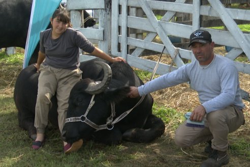 "La terapia con búfalos se basa en la relación del animal y la persona"