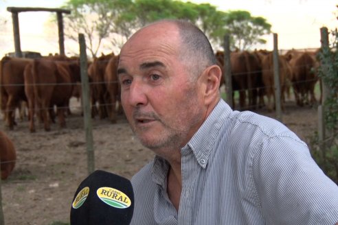 Bender: &ldquo;Estamos preocupados por las reiteradas denuncias y acciones judiciales contra productores"