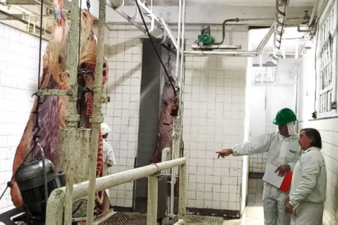 Ya inspeccionan frigoríficos en busca del estándar único de faena
