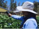 Agricultores entrerrianos invertirán poco más de 841 millones de dólares durante la campaña 2025/26