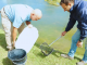 Utilizan peces para controlar mosquitos en ambientes urbanos