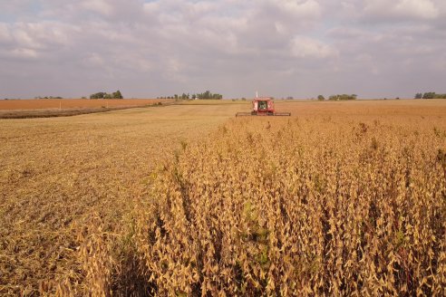 Jornada en BolsaCER: Retenciones y la agenda agropecuaria en el Congreso de la Nación