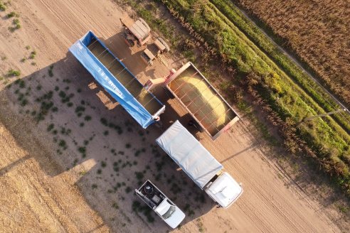 Jornada en BolsaCER: Retenciones y la agenda agropecuaria en el Congreso de la Nación