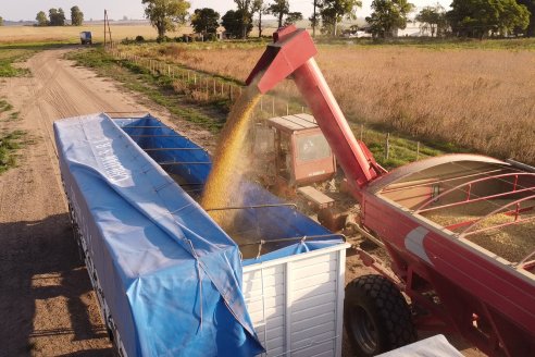 Jornada en BolsaCER: Retenciones y la agenda agropecuaria en el Congreso de la Nación