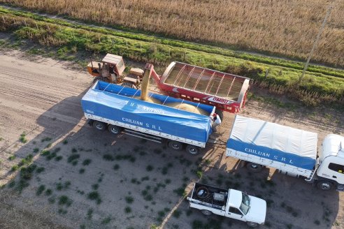 Jornada en BolsaCER: Retenciones y la agenda agropecuaria en el Congreso de la Nación