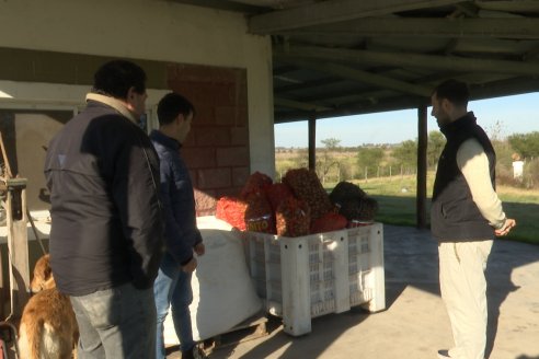 Visita a Pecanes LOYLA - Distrito Palmar - Departamento Diamante