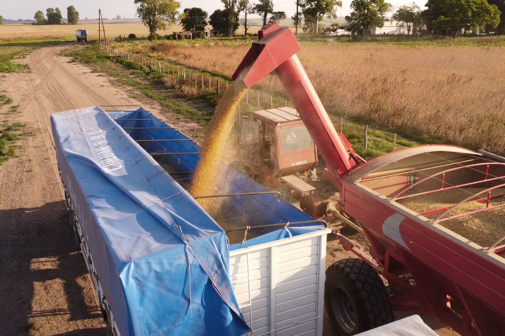 Jornada en BolsaCER: Retenciones y la agenda agropecuaria en el Congreso de la Nación
