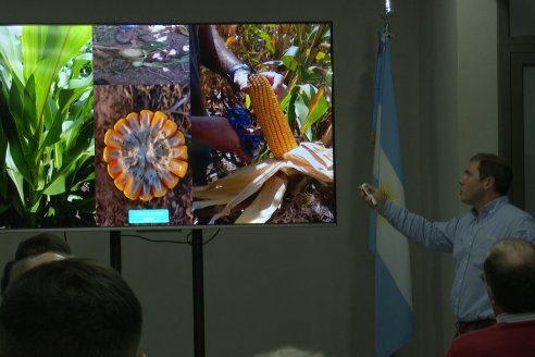 Taller Nufarm sobre Maiz BMR - Coop. La Ganadera de Gral Ramirez