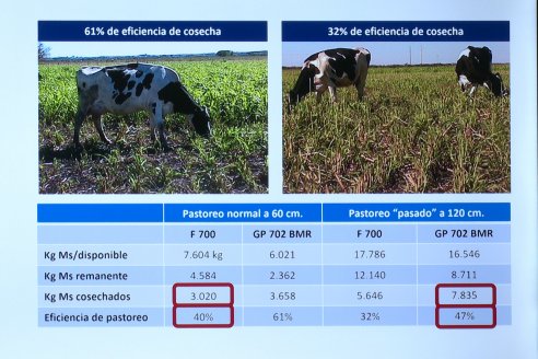 Taller Nufarm sobre Maiz BMR - Coop. La Ganadera de Gral Ramirez