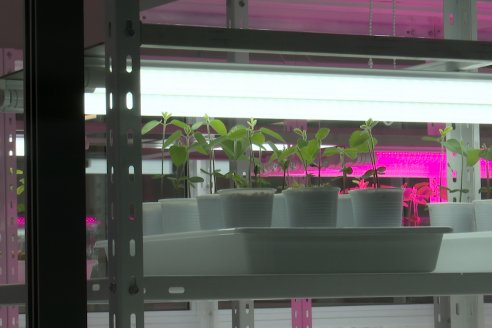 Inauguración Planta de Productos Biológicos de AFA - Ramallo, Buenos Aires