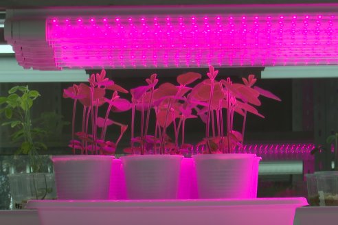 Inauguración Planta de Productos Biológicos de AFA - Ramallo, Buenos Aires