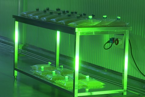 Inauguración Planta de Productos Biológicos de AFA - Ramallo, Buenos Aires