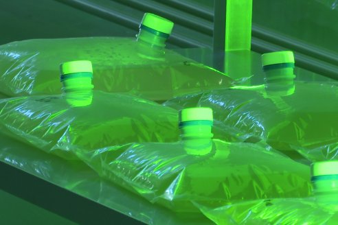 Inauguración Planta de Productos Biológicos de AFA - Ramallo, Buenos Aires
