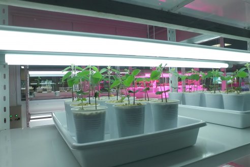 Inauguración Planta de Productos Biológicos de AFA - Ramallo, Buenos Aires