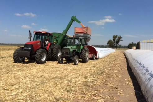 La poscosecha es la nueva frontera para la eficiencia agrícola argentina