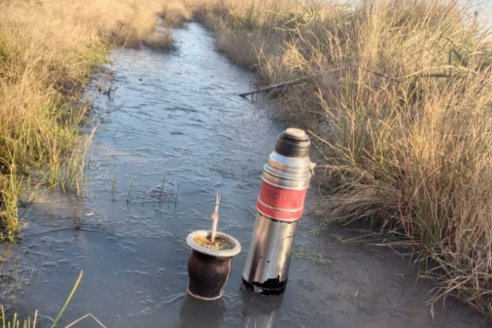 En días nada más, las heladas comenzarán a mostrar su rigor