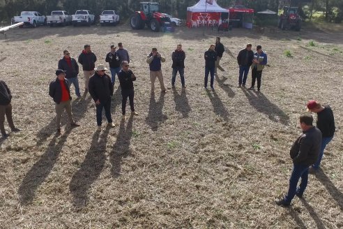 Weinbaur S.A. - Demostración Técnica a Campo para presentar a la Pulverizadora MF535R