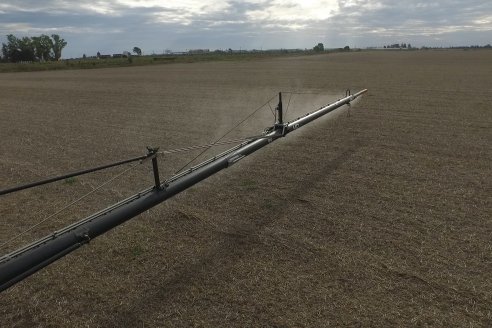 Weinbaur S.A. - Demostración Técnica a Campo para presentar a la Pulverizadora MF535R