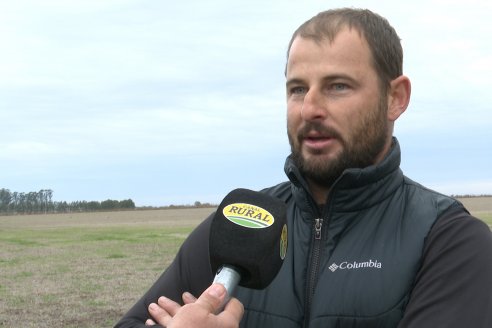 Weinbaur S.A. - Demostración Técnica a Campo para presentar a la Pulverizadora MF535R