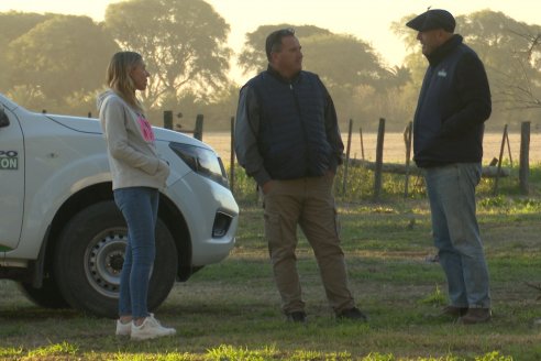 Agropecuaria Sauce Pinto: Puesta en marcha de Sembradora Doble Proposito de Dolbi DX 2142