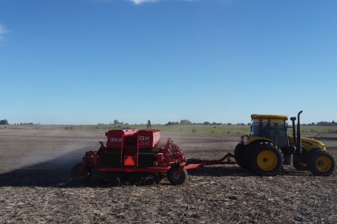 Agropecuaria Sauce Pinto: Puesta en marcha de Sembradora Doble Proposito de Dolbi DX 2142