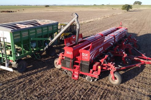 Agropecuaria Sauce Pinto: Puesta en marcha de Sembradora Doble Proposito de Dolbi DX 2142