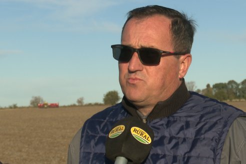 Agropecuaria Sauce Pinto: Puesta en marcha de Sembradora Doble Proposito de Dolbi DX 2142