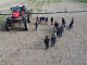 Gran despliegue de la pulverizadora estrella de Massey Ferguson