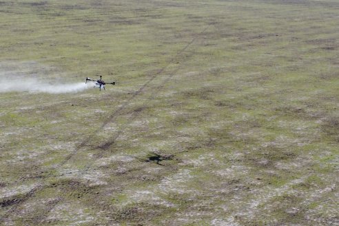 Bianchini Presición en Agricultura - Presentación a Campo de los drones XAG ATLAS en San Salvador