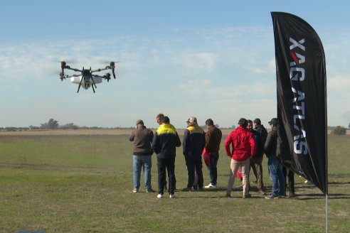 Eficientes y sostenibles, así son los drones que sirven al productor
