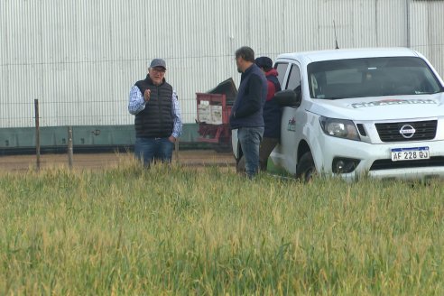 Visita a Cabaña Bajo Fertil de Genética L´Arachide en General Cabrera, Cordoba - Previa al 5to Remate Anual