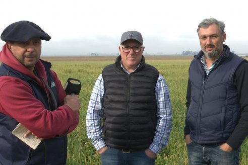 Visita a Cabaña Bajo Fertil de Genética L´Arachide en General Cabrera, Cordoba - Previa al 5to Remate Anual