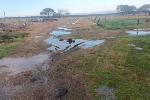 Santa Rosa se despliega como se pronosticó, con mucha lluvia y viento