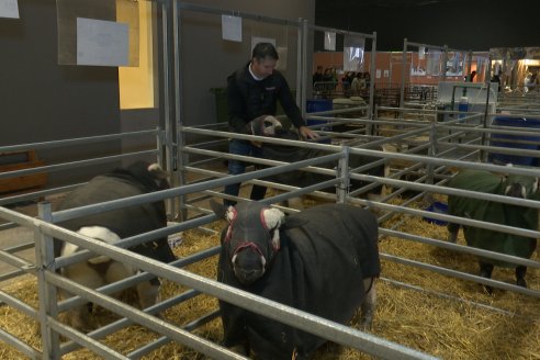 Postales Expo Rural Palermo 2025