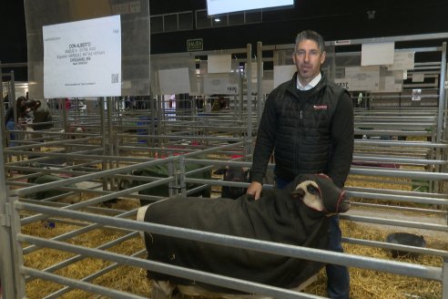 Postales Expo Rural Palermo 2025