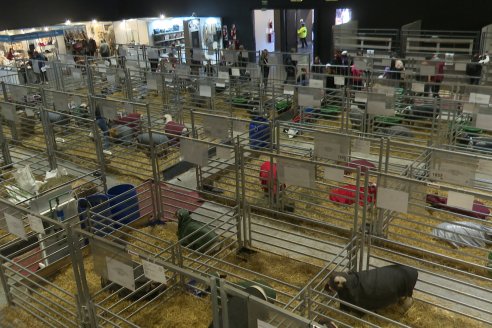 Postales Expo Rural Palermo 2025
