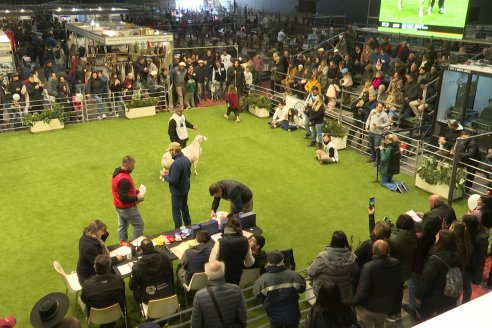 Postales Expo Rural Palermo 2025